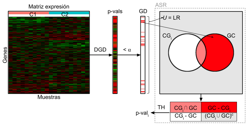Diagrama clásico del proceso completo de Análisis de Sobre-Representación (ASR). Este proceso parte de una Matriz de expresión, con Genes en filas y Muestras en columnas, y la etiqueta de condición de cada muestra (C1 y C2). Mediante un algoritmo de Detección de Genes Diferenciales (DGD) se obtiene para cada gen un p-valor asociado (p-vals). Aplicando un nivel de corte \(\alpha\) a estos p-valores (\(< \alpha\)), se obtiene cuáles son Genes Diferenciales (GD) y cuáles no. Aquí es donde efectivamente comienza el ASR, los algoritmos de ASR requieren de dos listas: la de genes candidatos (usualmente los GD), y la Lista de Referencia (LR; usualmente todos los genes detectados en el experimento). A partir de estas listas de genes, para cada Conjunto de Genes (CG\(_i\)) se genera una tabla de contingencia, a la cual se le aplica un Test de Hipótesis (TH) del cual resulta un p-valor asociado al CG\(_i\) (p-val\(_i\)).